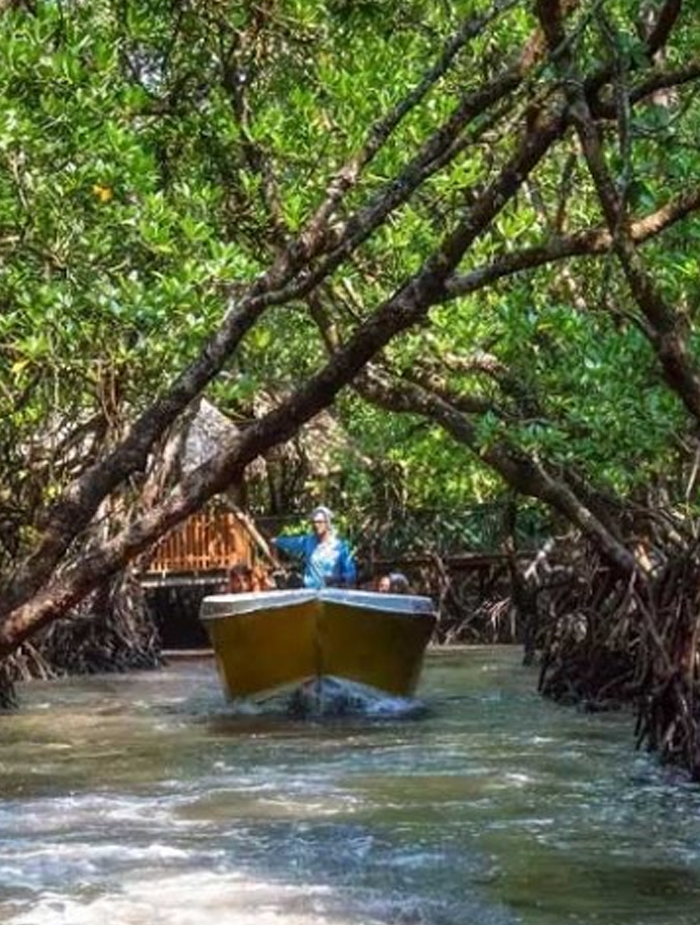 Bartang Island